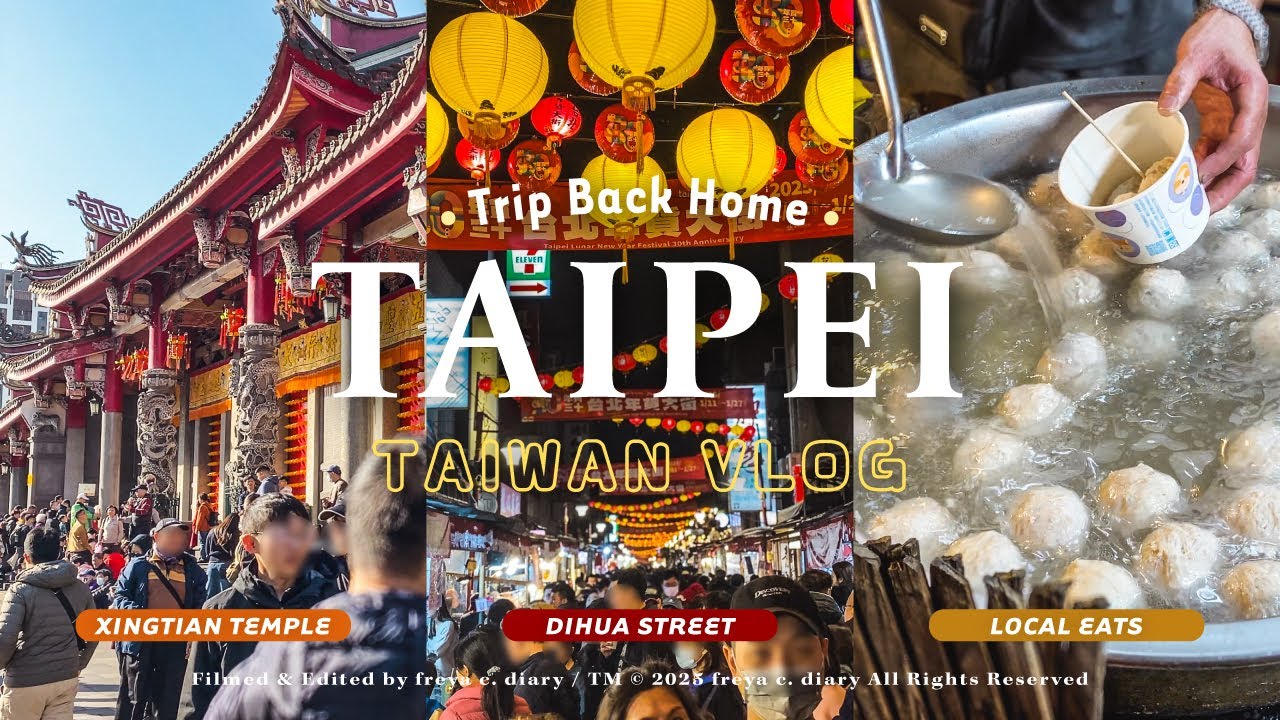 回台過年滿滿年味🇹🇼 | 台北俗視角逛迪化街年貨大街🏮 徐家蛋捲、爆漿大貢丸＆傳統零食 | 大年初一行天宮拜拜＆可愛貓貓芋頭甜品🍠 | freya c. diary