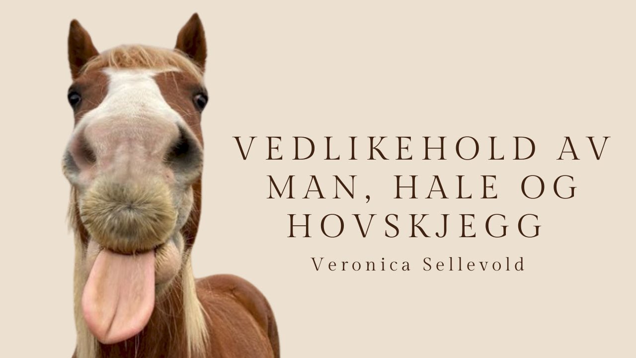 Vedlikehold av man, hale og hovskjegg | Veronica Sellevold VLOG35