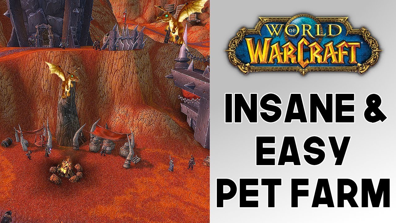World of Warcraft INSANE Gold Farm For Multiple Servers! Bronze Whelpling Pet Farm! (8.0)(8.0.1)