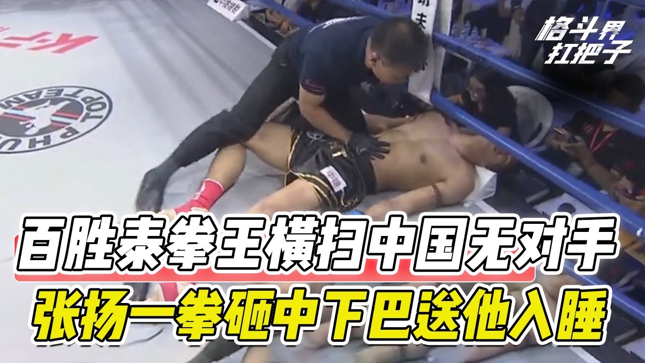 148胜泰拳王横扫中国无敌，被张扬一拳打晕死，死神方便接班人【格斗界扛把子】