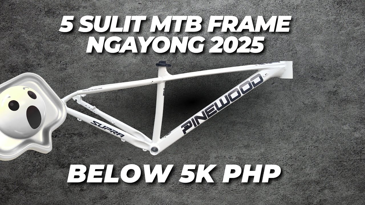 WAG KA MUNANG BUMILI! Check Mo Muna Itong 5 MTB Frames Under ₱5K!