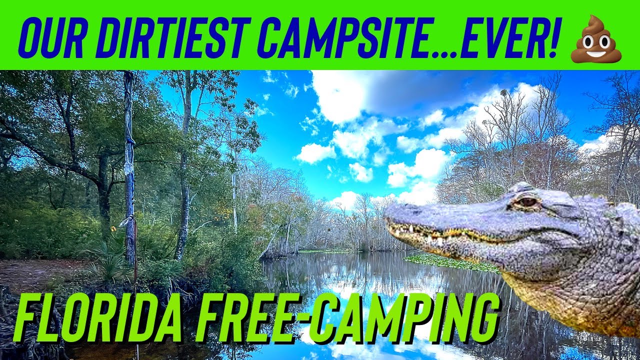 [Ocala, Florida] &mdash; FREE CAMPING&mdash; A bear visits our campsite & paddleboarding with ALLIGATORS 🐊