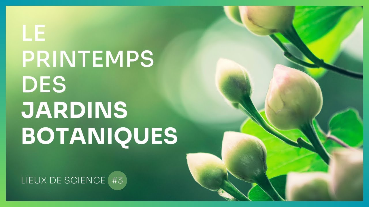 Le printemps des jardins botaniques
