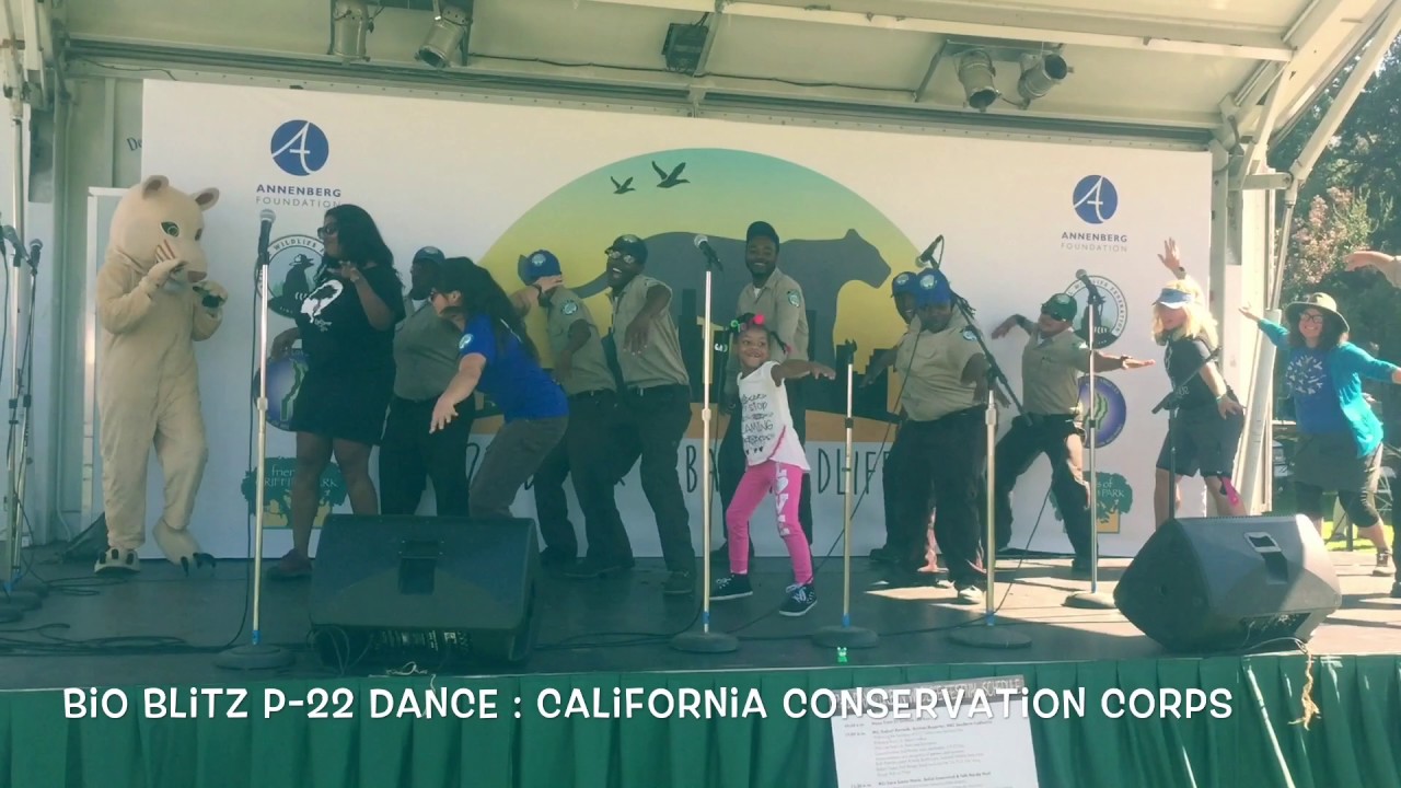 P-22 Bioblitz Dance