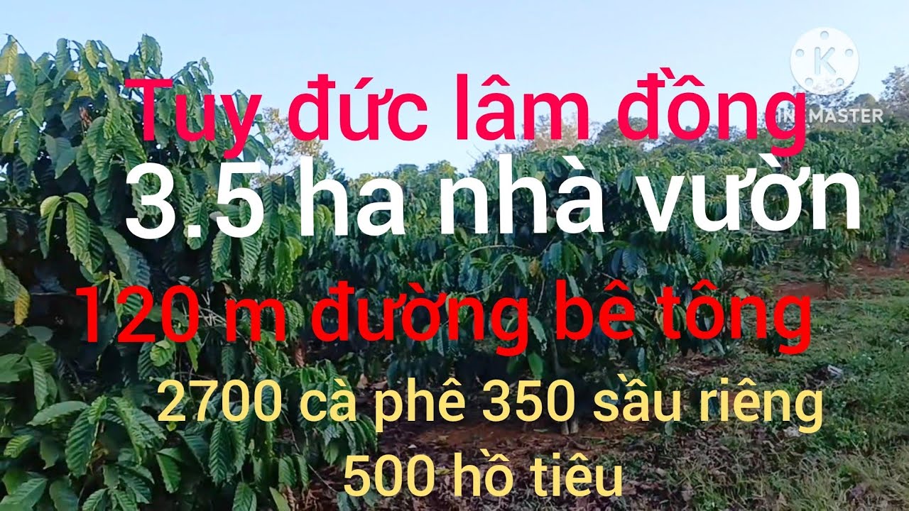 Bán gấp nhà vườn đông đặc cà phê xen sầu riêng hồ tiêu mặt tiền bê tông khu dân cư 