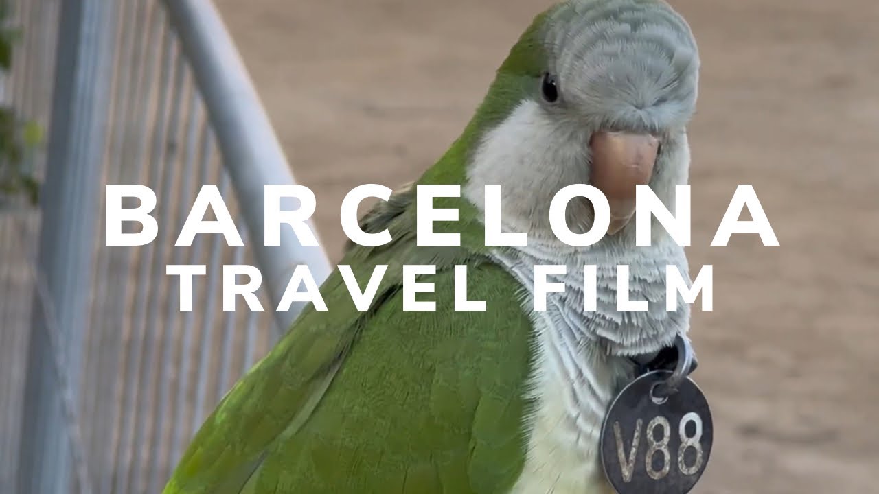 Barcelona in December – Colorful Streets & Hidden Corners - 2023