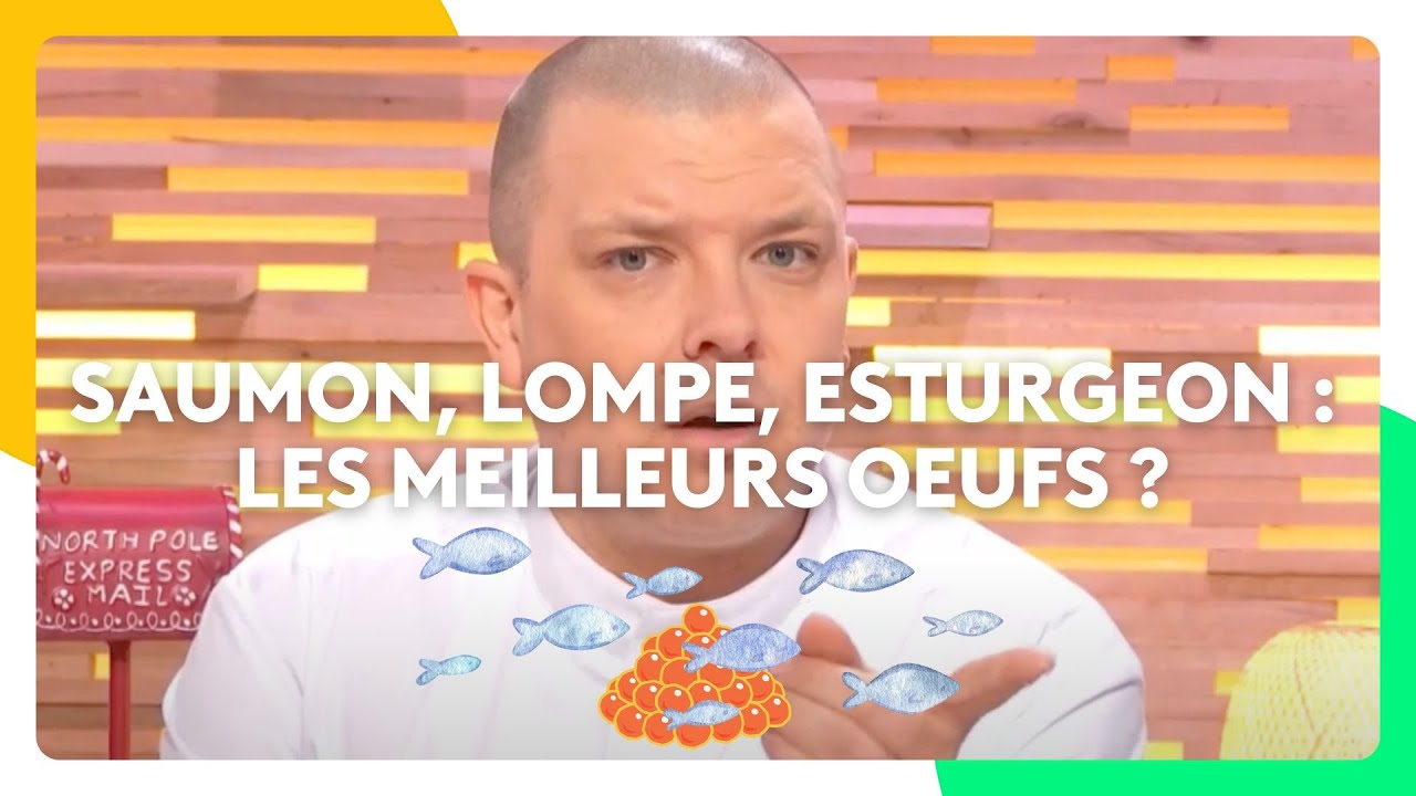 Saumon, lompe, esturgeon : les meilleurs oeufs ?