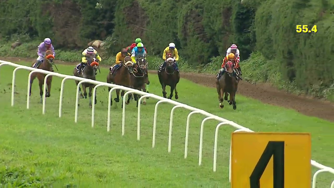 RACE NO : 122 - GLORIOUS GRACE WINS The Madras Race Club Cup