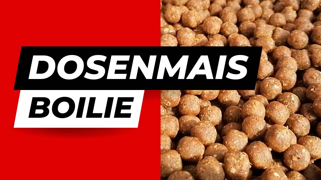 Dosenmais Boilie selbst gerollt + Rezept!