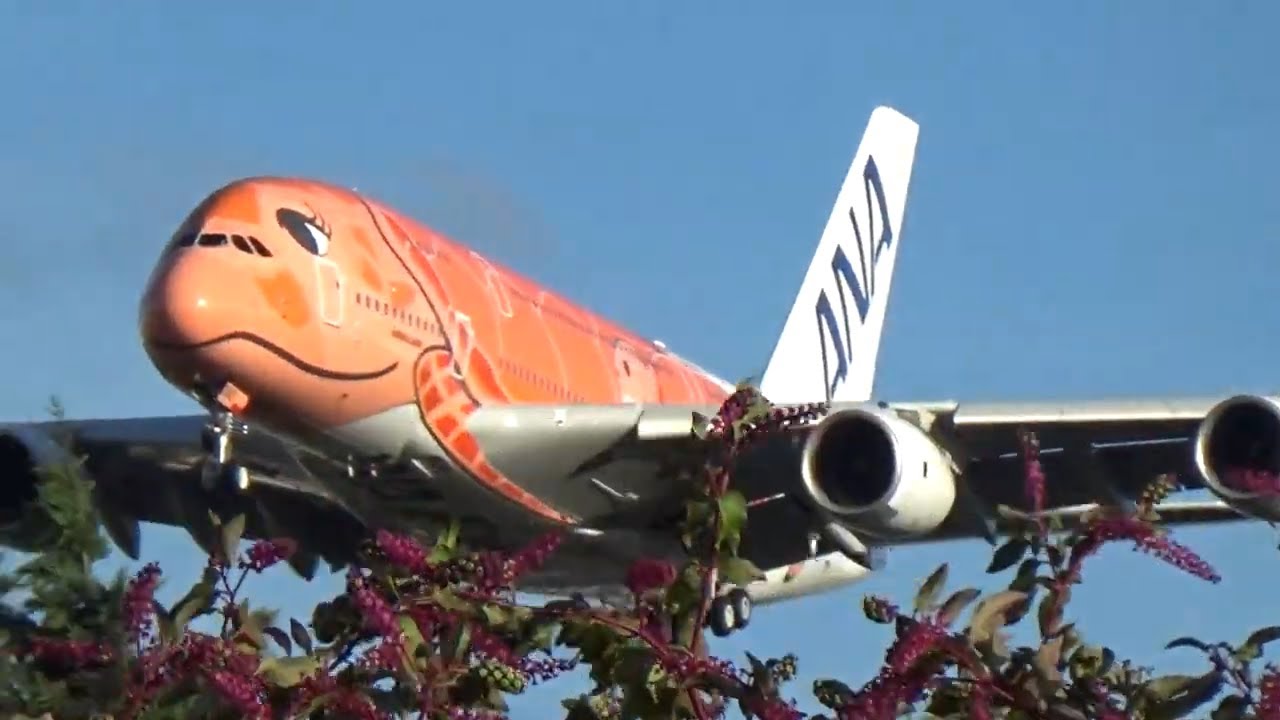 Airbus A380 ANA 