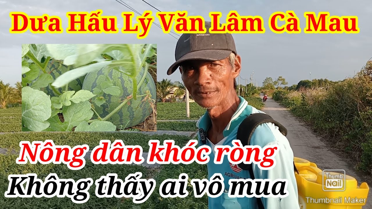 Nông Dân 