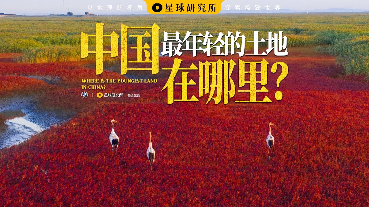 中国的土地，竟然还在不断增长？In China, new land is growing all the time?!【星球研究所】
