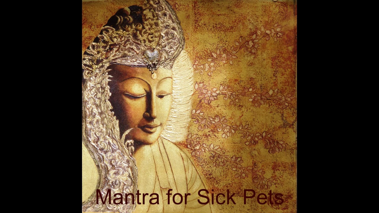 Buddhist Mantra for Sick Pets