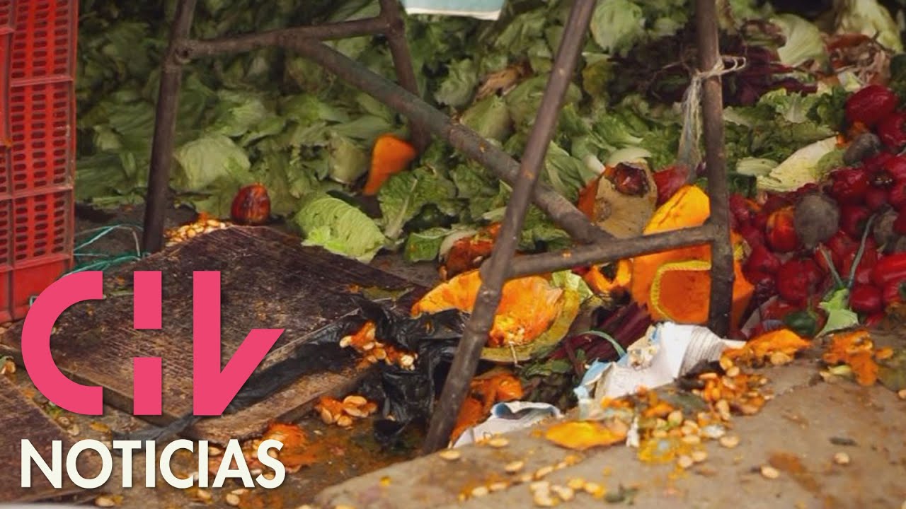 Desperdicio de comida: Chilenos botamos 3,7 millones de kilos de alimentos al año