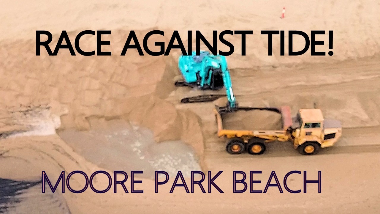 Saving Moore Park Beach: The massive Erosion Fight (2026)