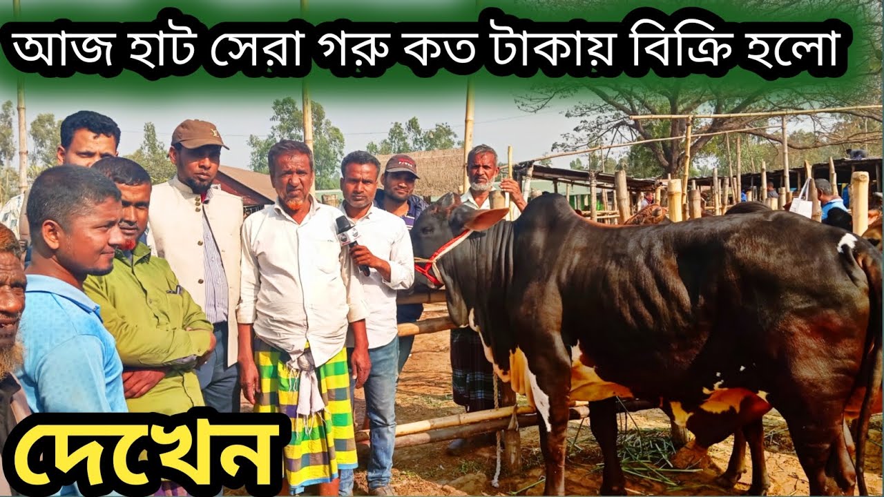 ৩০জানুয়ারি ২০২৬| আমবাড়ি হাট থেকে সহযোগিতা করে চাচায় গরু কিনে দিলেন দেখেন! 