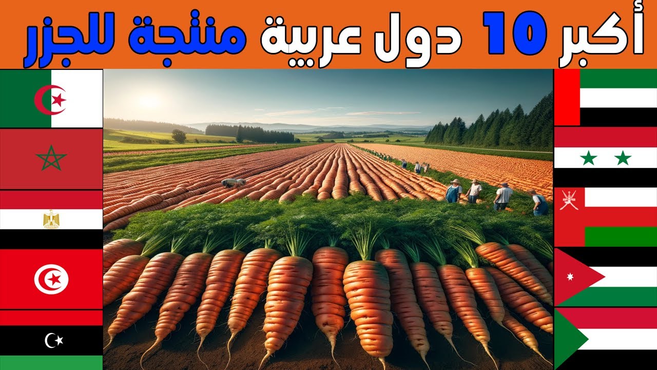 من هي أكثر دولة عربية في زراعة و انتاج الجزر؟تصنيف جديد لأكبر 10 محاصيل جزر عند الدول العربية 2024