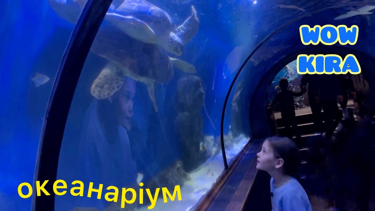 Київський океанаріум 