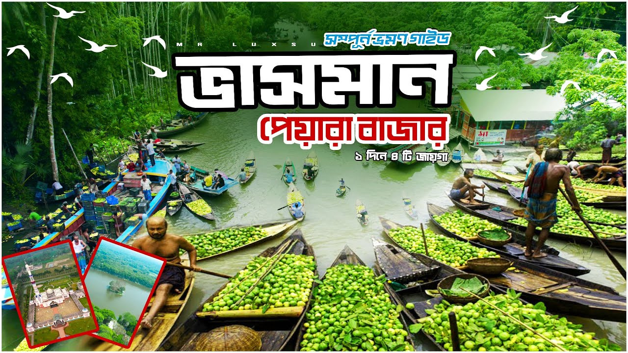 Vasoman Peyara Bazar । ভাসমান পেয়ারা বাজার । The Biggest Floating Guava Market In BD । Mr Luxsu