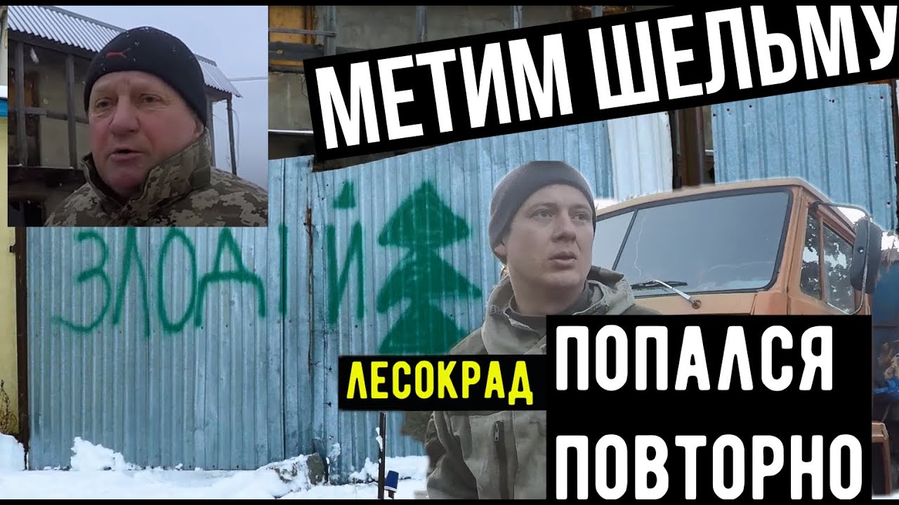 F.C#15 Метим лесокрада. Вор попался повторно. Пилорамы Мощуна