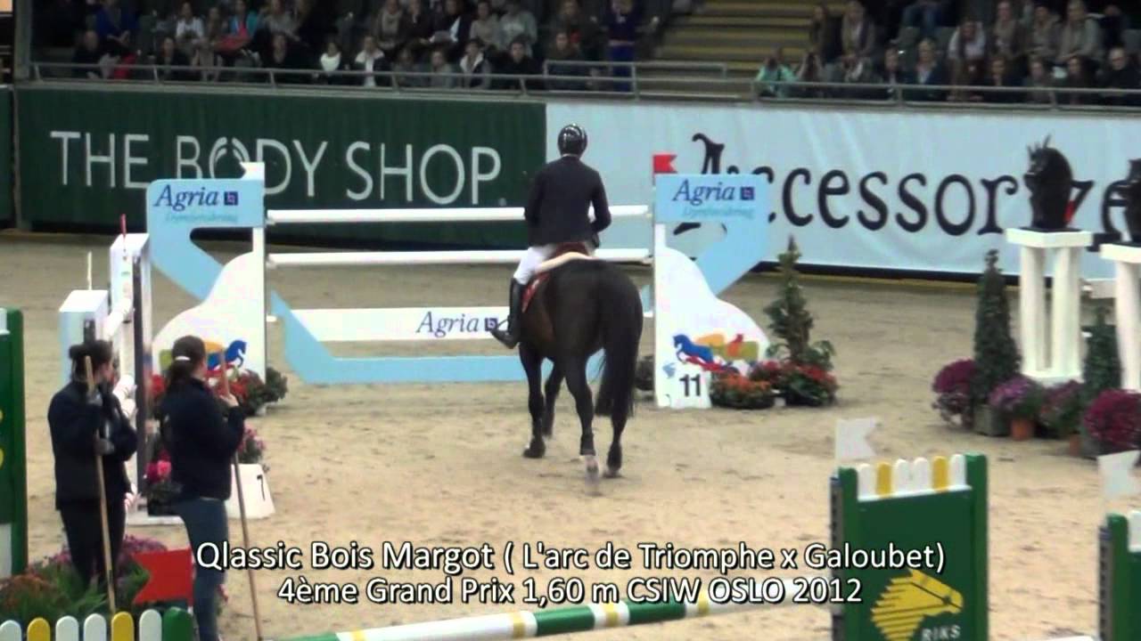 Qlassic Bois Margot (L'arc de Triomphe x Galoubet ) 4ème GP CSIW 1,60 Oslo