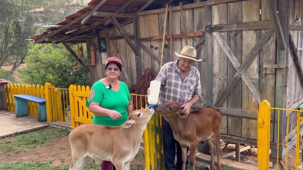 O QUE FAZEM PARA VIVER NUM SÍTIO NAS MONTANHAS LONGE DA CIDADE