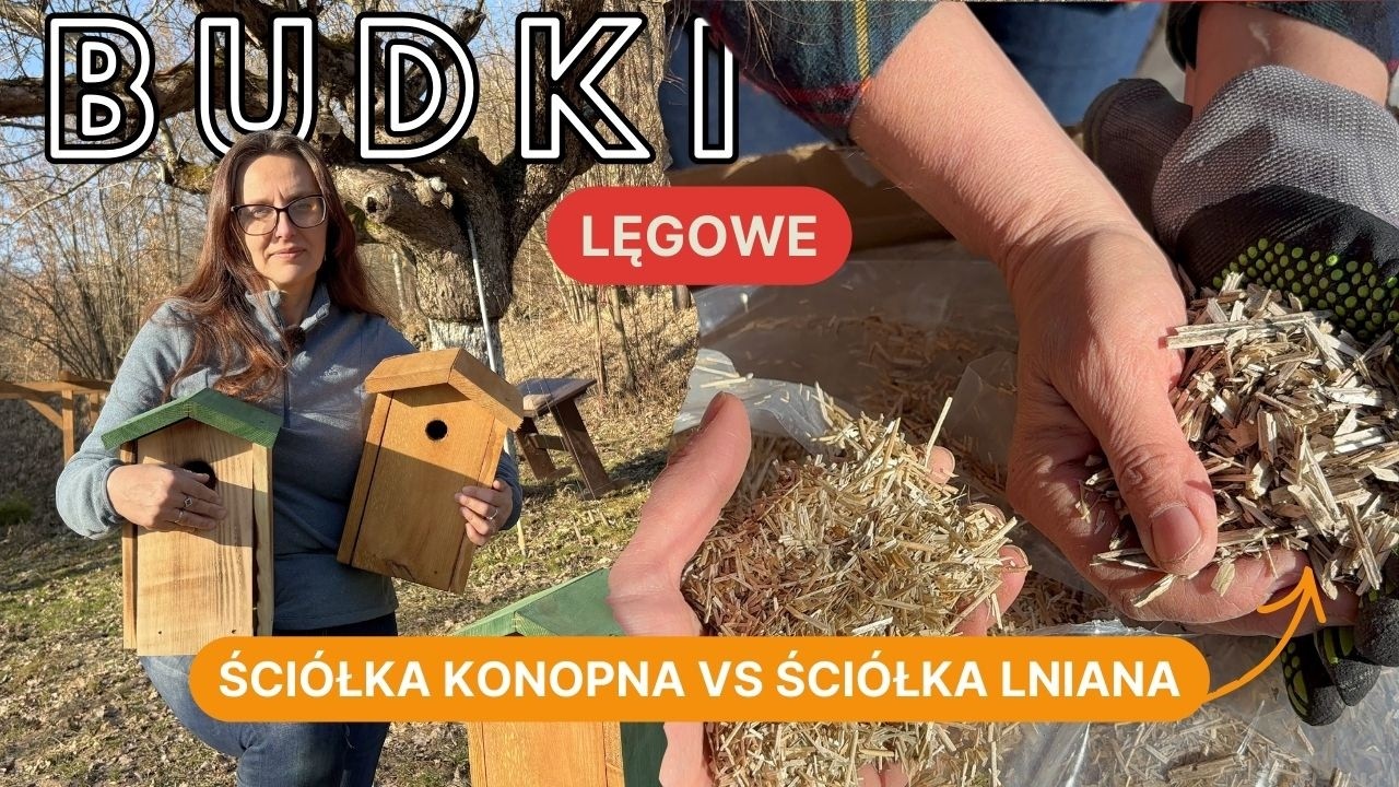 Kaczki biegusy wracają do ogrodu! 🦆 A my wieszamy budki dla ptaków i testujemy ściółki.