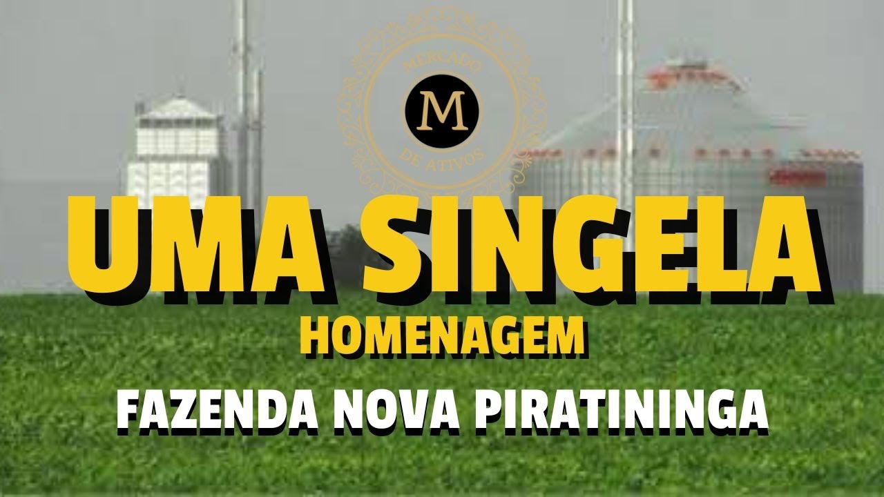 A MELHOR E MAIS PRODUTIVA FAZENDA DO BRASIL - MercadodeAtivos