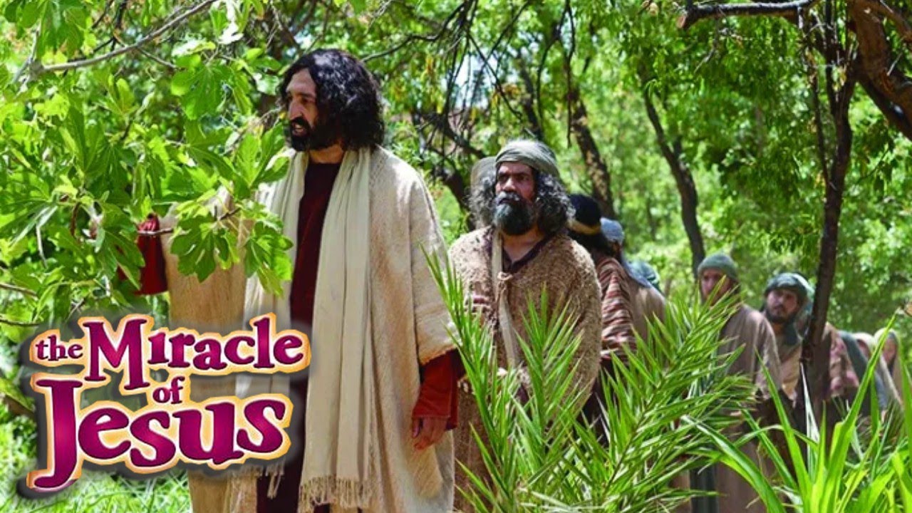 Jesus Curses a Fig Tree and Clears the Temple Courts | Miracle of Jesus Christ #11