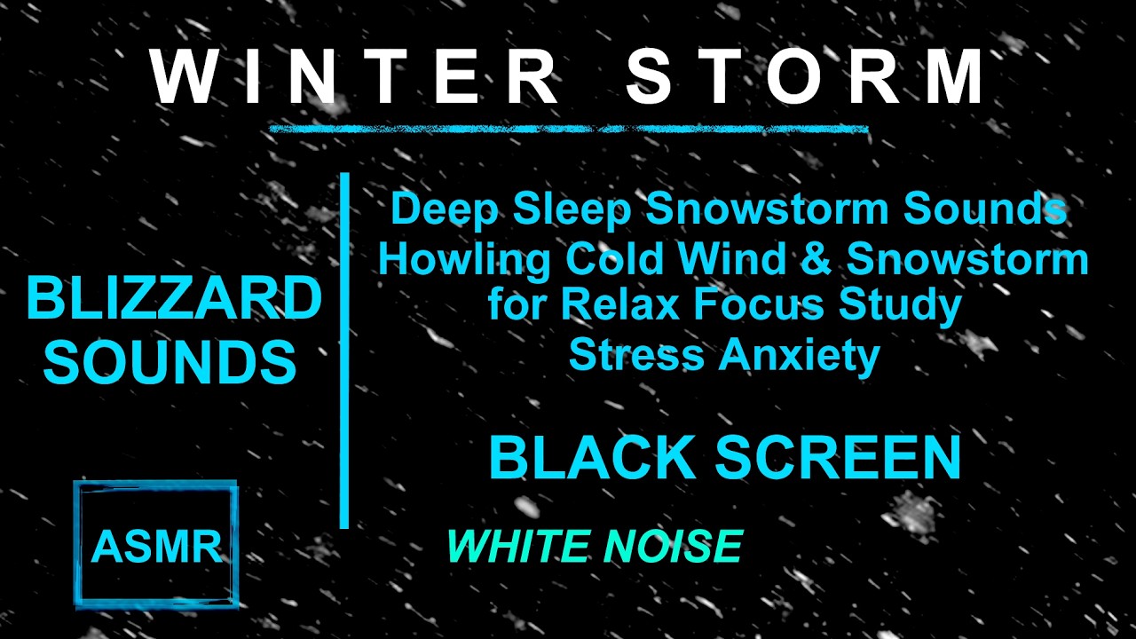 Deep Sleep Snowstorm Sounds ❄️ Howling Cold Wind & Snowstorm for Relax Focus Study Stress Anxiety