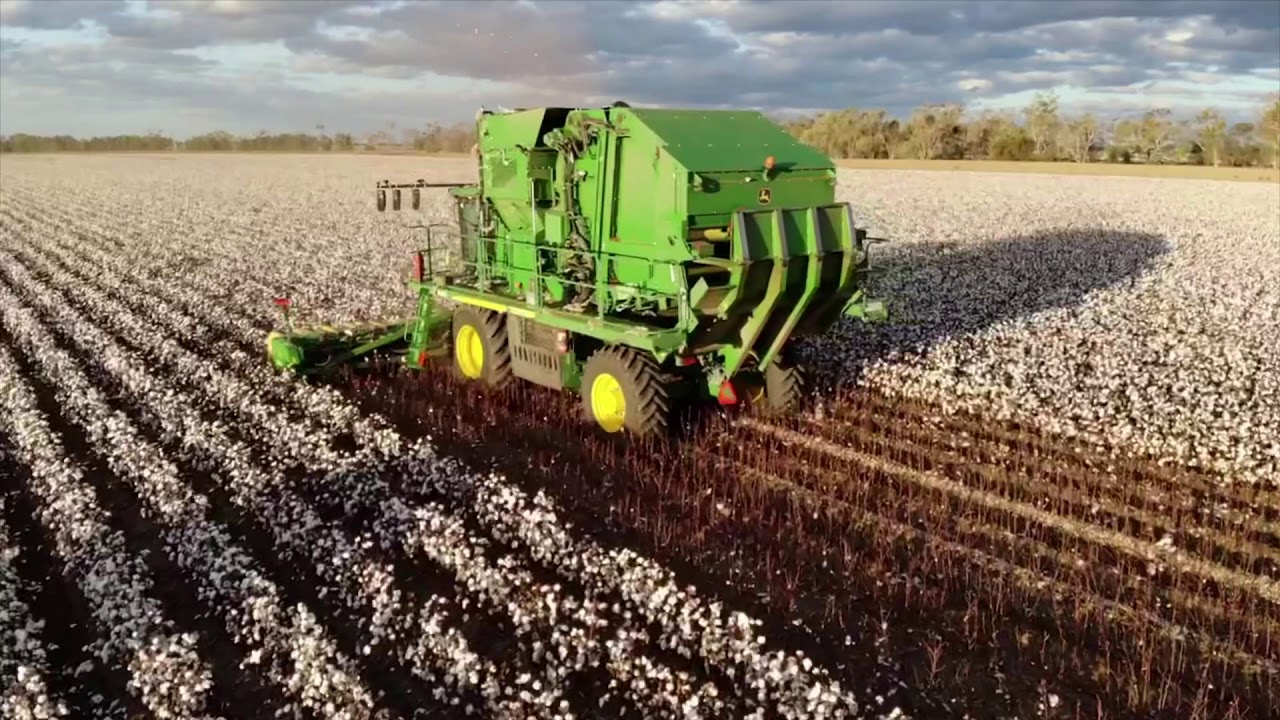 CS690 Cotton Stripper Harvest Australia 2019