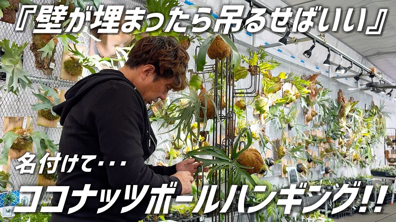 【新･飾り方提案】壁面が埋まったらこの方法で空間を演出してみませんか？