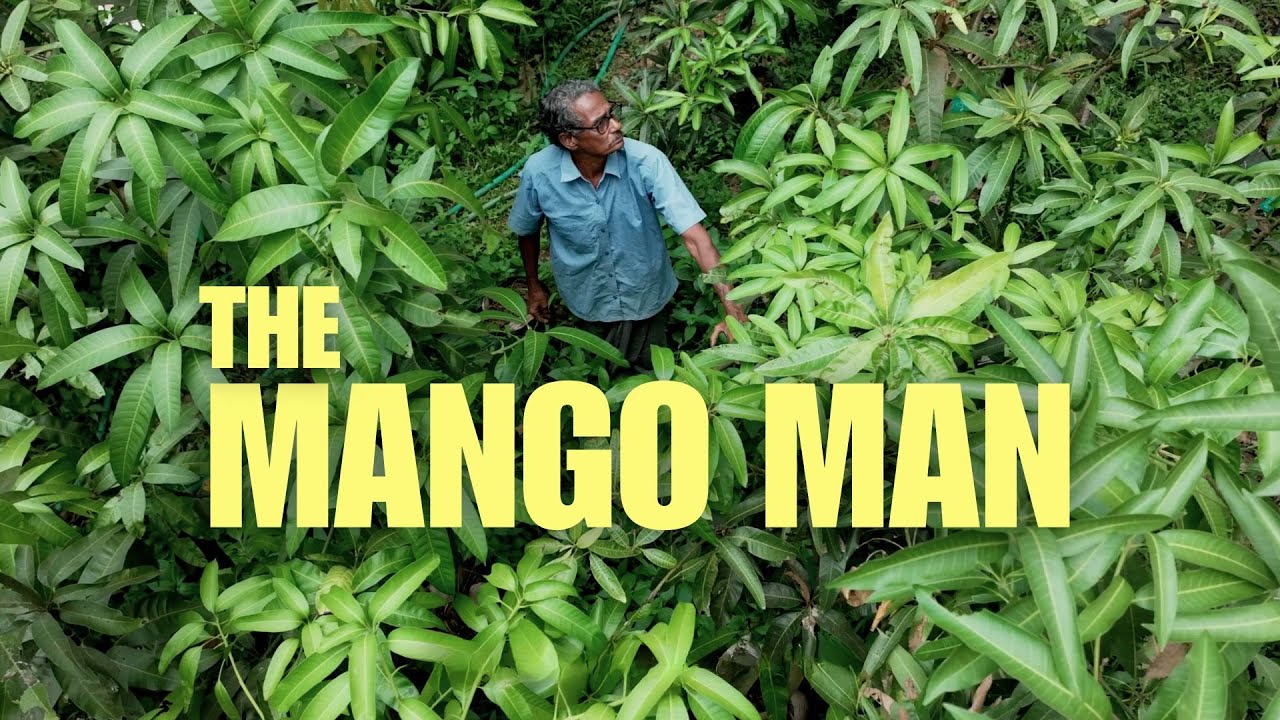 Meet the Farmer Saving 700+ Mango Varieties in Kerala