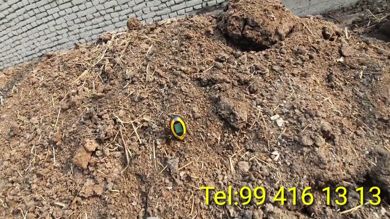 Янги гонгни сомон билан таййорлашни фойдаси нимада?