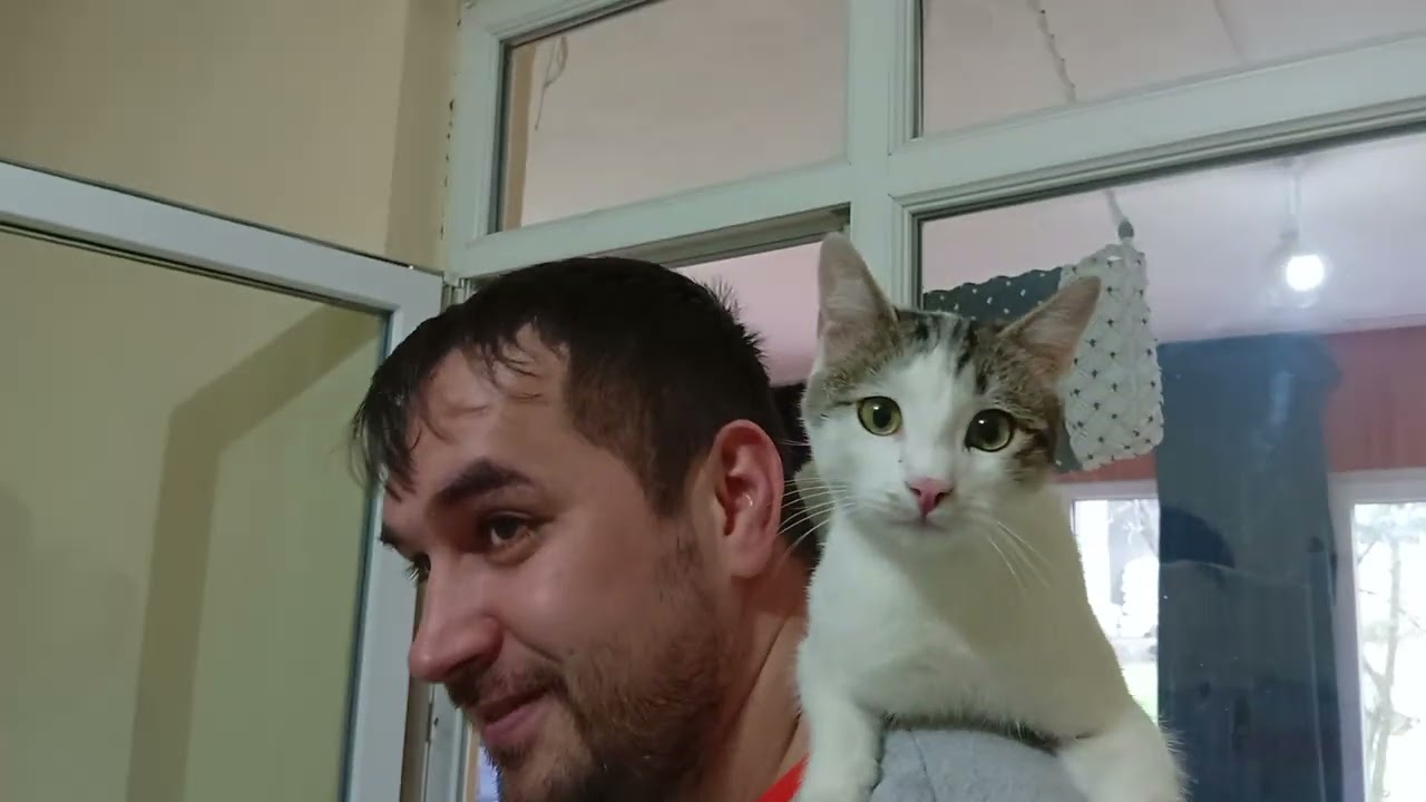 Köyde evimizi boyuyoruz part 2 