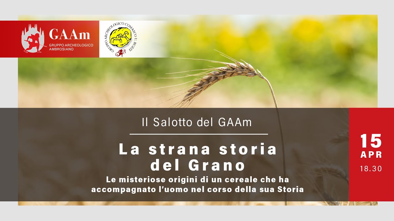 Il Salotto del GAAm - 