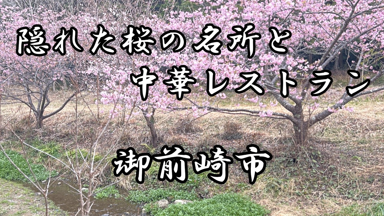【御前崎市】知る人ぞ知る桜の名所の里山と中華レストランを楽しむ休日
