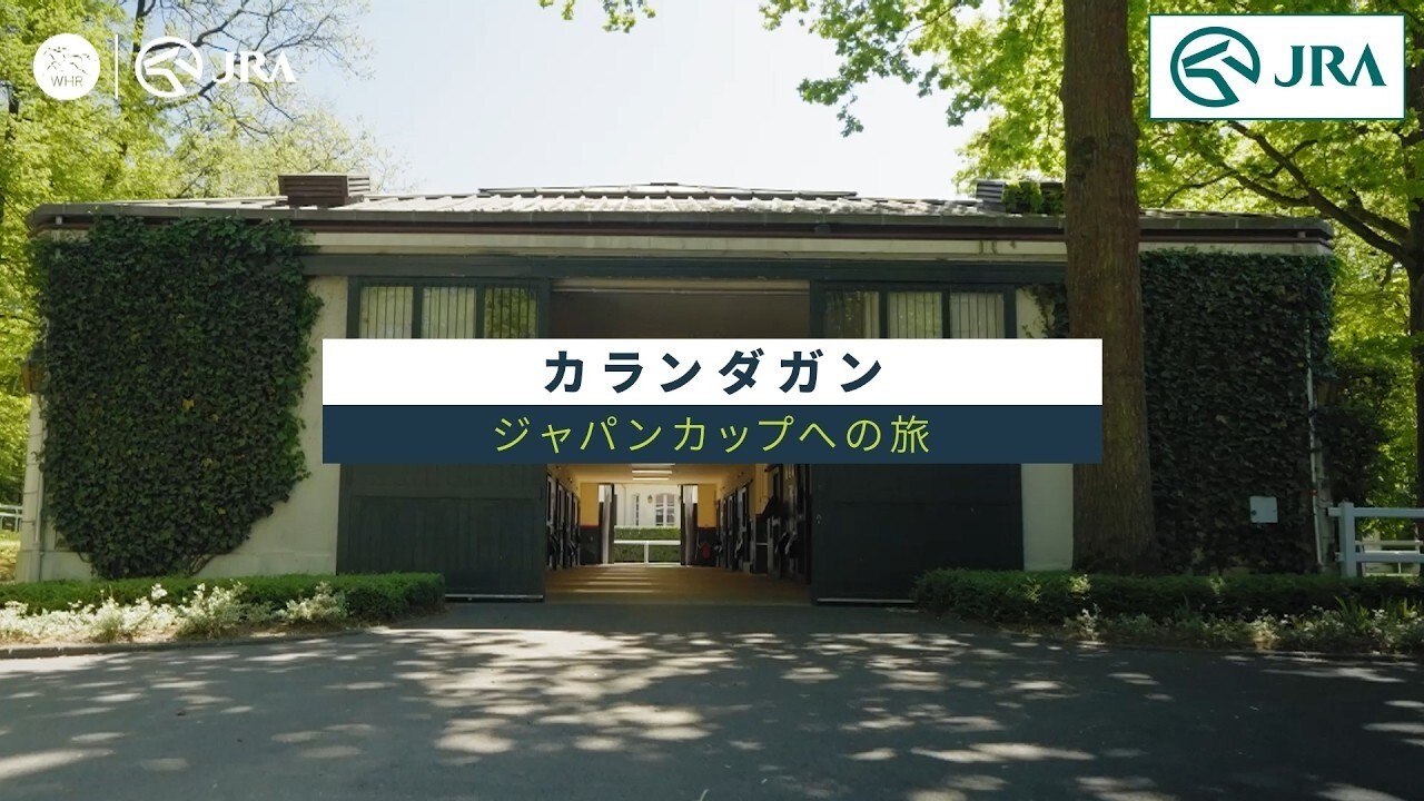 カランダガン　～ジャパンカップへの旅～ | JRA公式