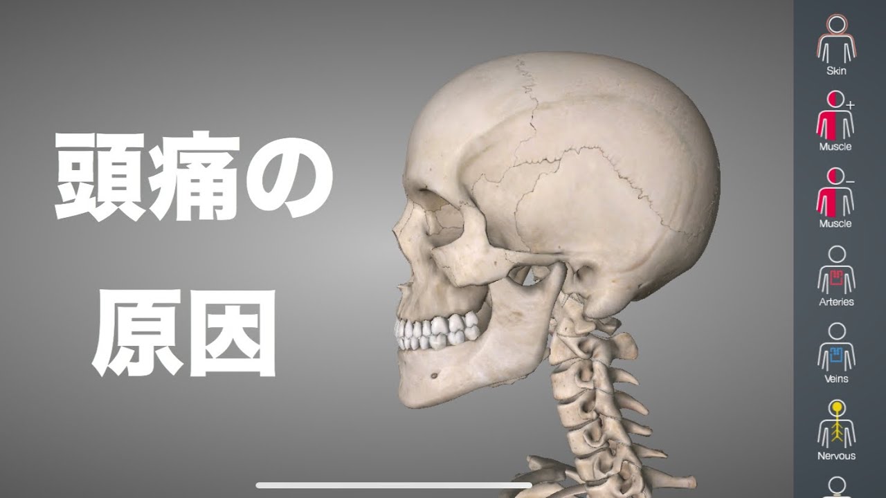 頭痛の原因は場所によって違う！それぞれの原因を解説！