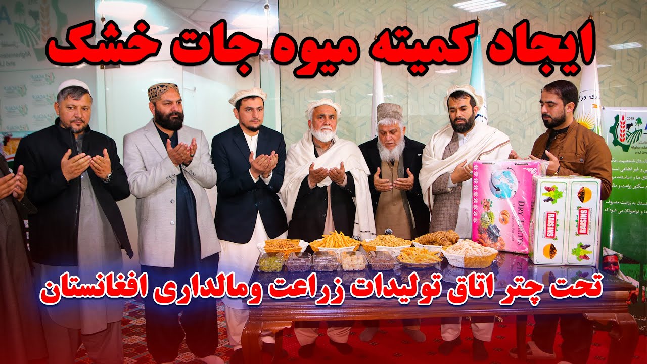ایجاد کمیته میوه جات خشک تحت چتر اتاق تولیدات زراعت و‌مالداری افغانستان | گزارش از نصیب الله عزیزی