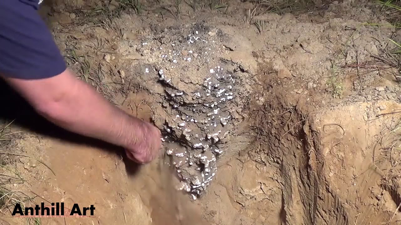 Largest Aluminum Fire Ant Colony Cast So Far Cast #072