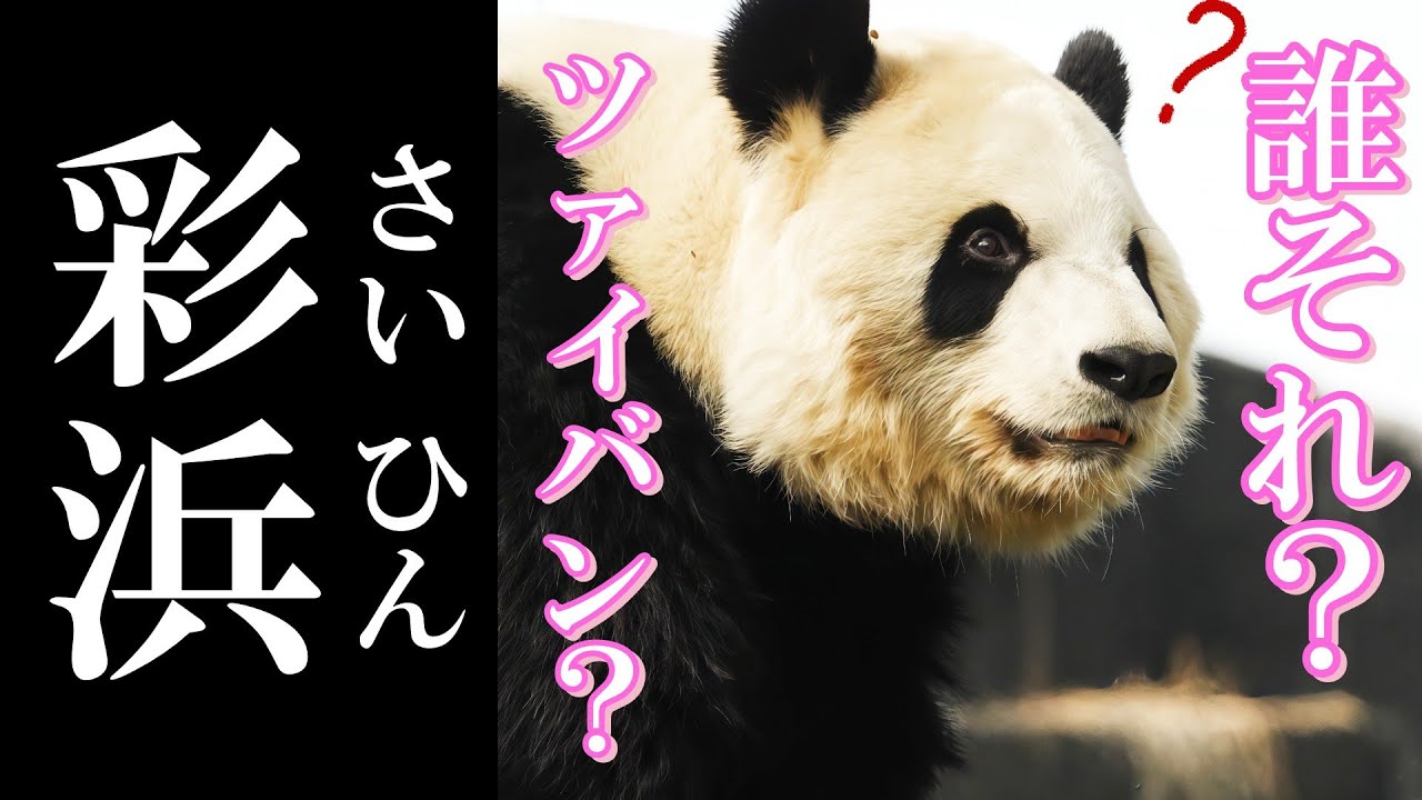 ツァイバーン？誰のこと？寝起きでお尻カキカキする彩浜ちゃん🌈🐼