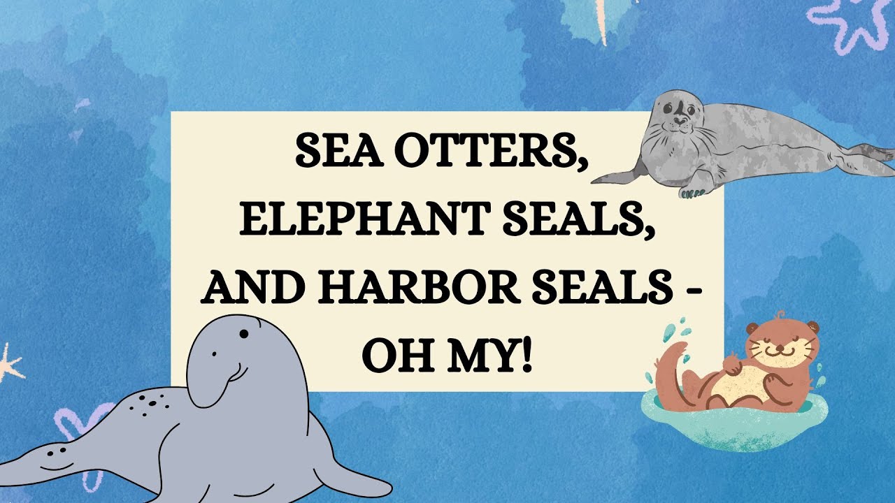 EARTH WEEK: Sea Otters, Elephant Seals, and Harbor Seals - Oh My!