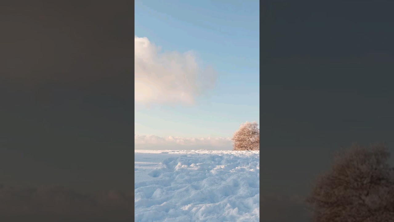 تراويح معسكر 2022 مسجد البشير الإبراهيمي الشيخ حسام 🥰