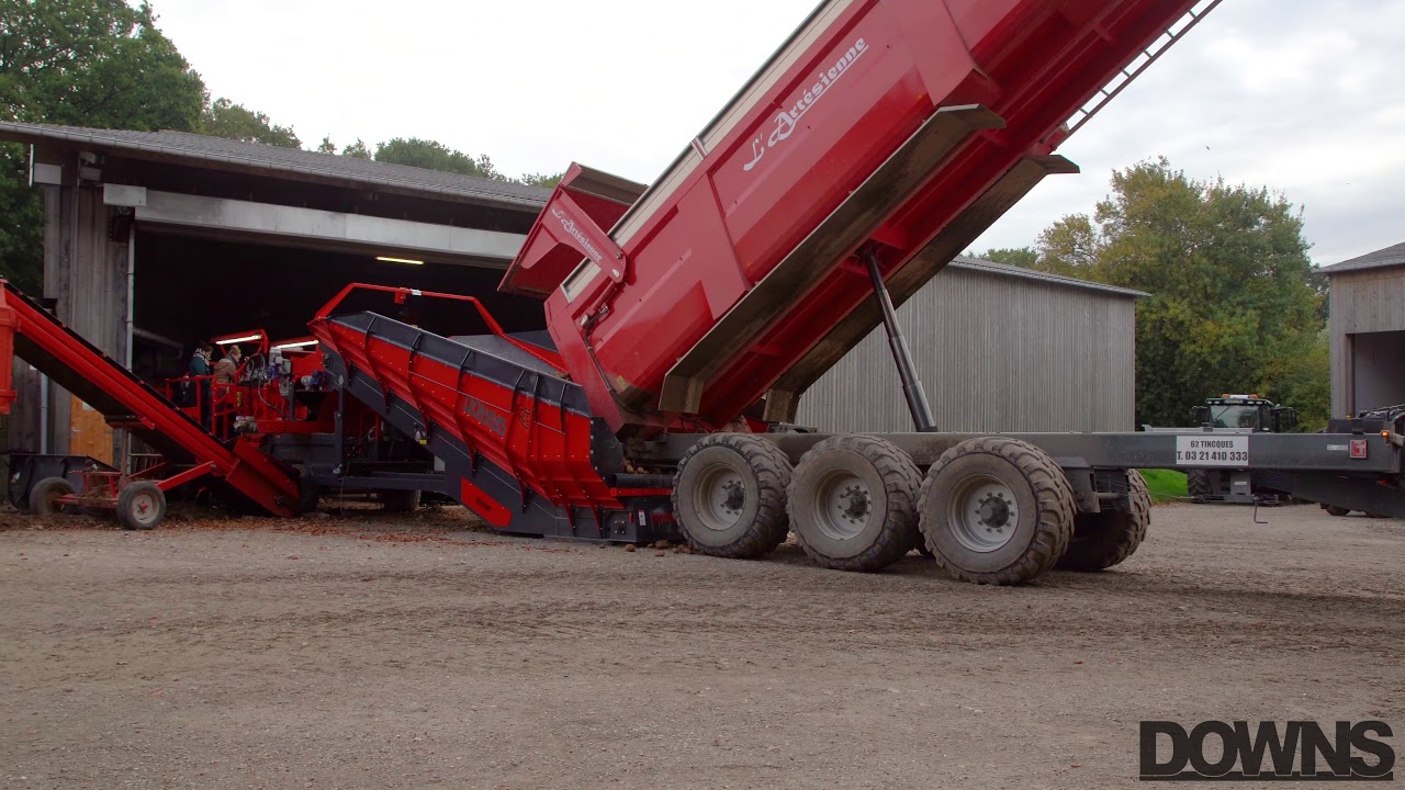 DOWNS potato hopper DG200 with polyurethane coils + autoclean, picking off, jumbo bag and box filler