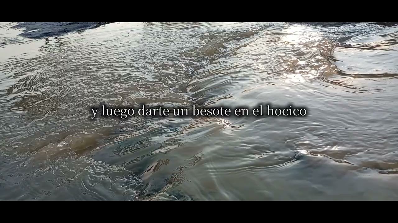 Tierrita Mojada-ed maverick  cover snailo