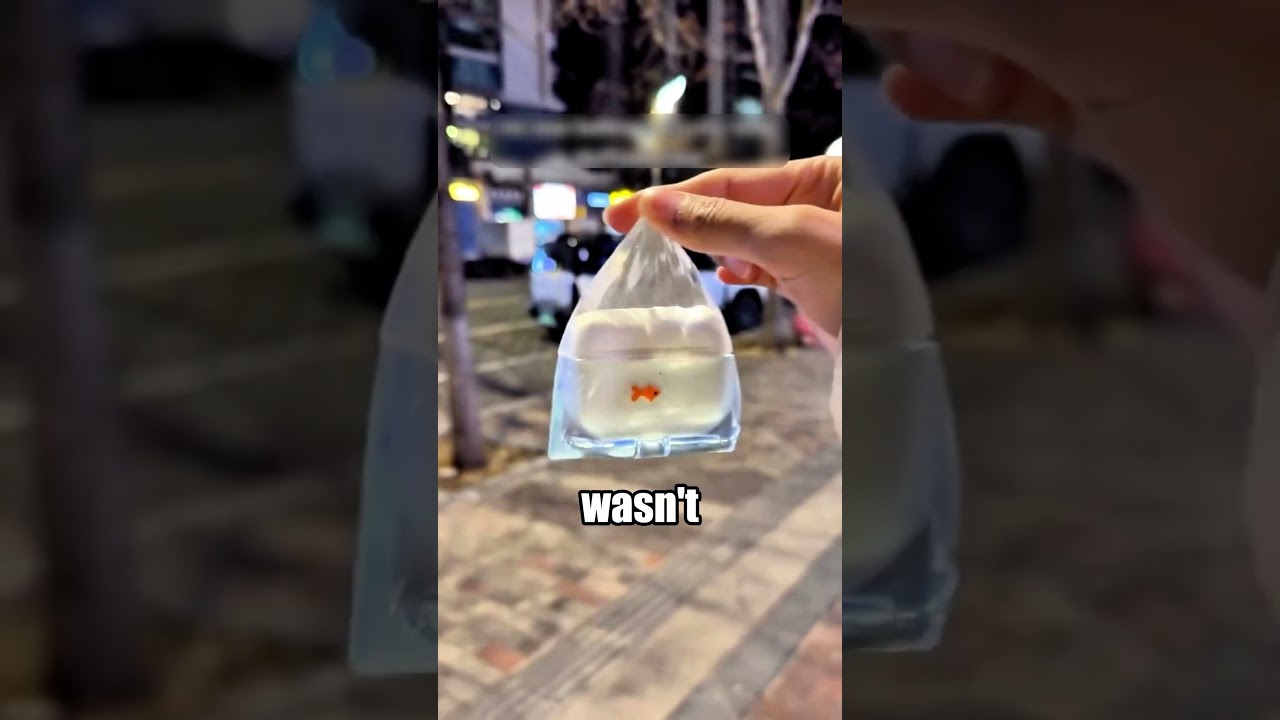 The Most Realistic Fake Fish Ever 😂