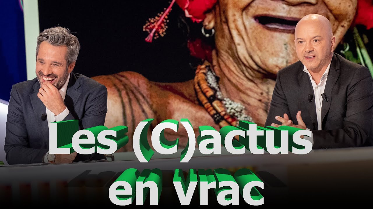 Les (C)actus en vrac de Jérôme de Warzée | Le Grand Cactus 125