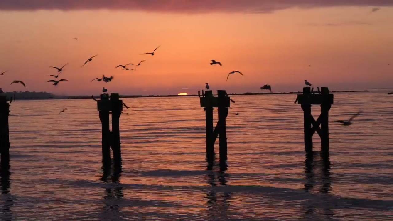 Sunrise #Biloxi