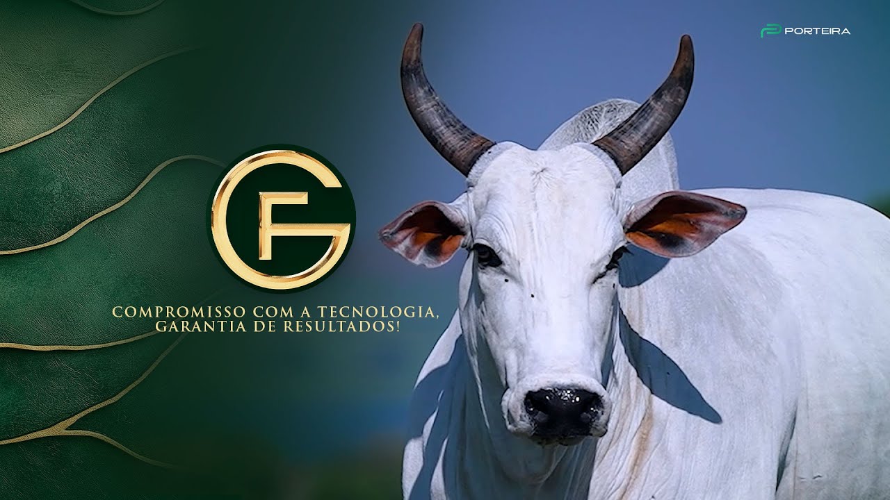 Leilão Guadalupe Agropecuária 2025 - Compromisso com a tecnologia, garantia de resultados.